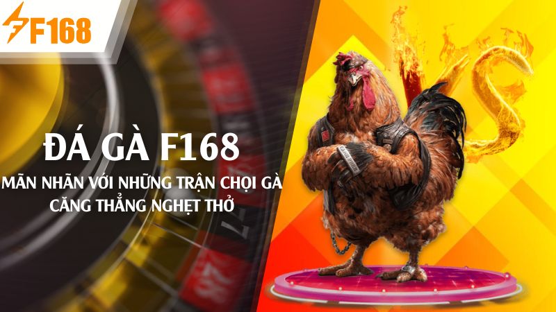 F168 đá gà - Thế giới gà chọi đầy kịch tính