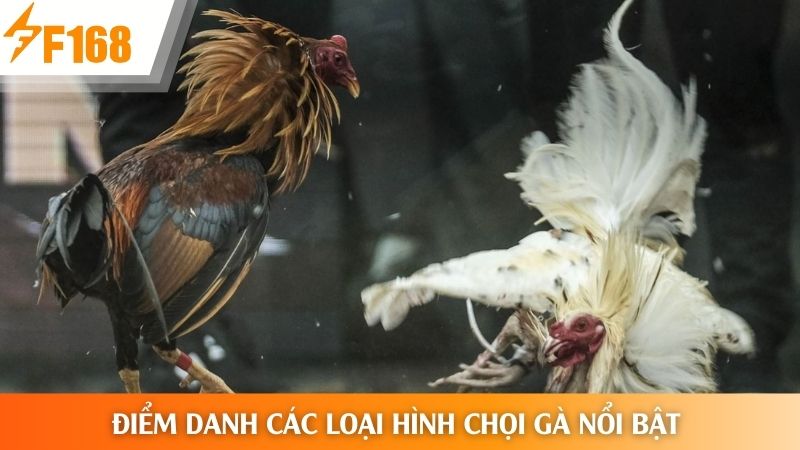 Các loại hình đấu gà phổ biến hiện nay