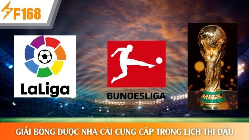 Giải bóng đá được hỗ trợ cập nhật lịch so tài trên hệ thống